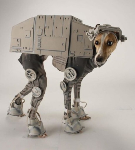 Best-Dog-Costume