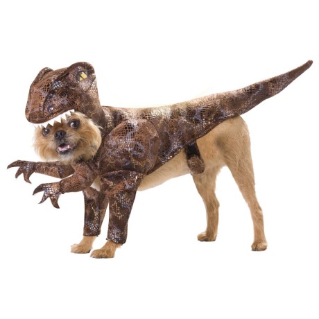 raptor-dinosaur-dog-costume